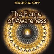 Cover von The Flame of Awareness