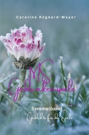 Cover von MS - Gedankenspiele (Sammelband)