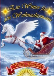 Cover von Ein Winter für den Weihnachtsmann