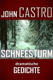 Cover von Schneesturm