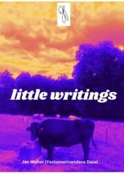 Cover von little writings