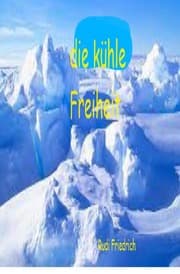 Cover von Die kühle Freiheit - Was erwartet dich morgen