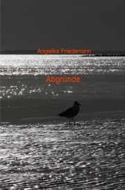 Cover von Abgründe