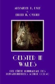 Cover von Geister in Wales