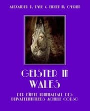 Cover von Geister in Wales