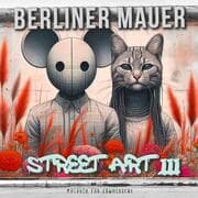 Cover von Berliner Mauer Street Art Malbuch für Erwachsene 3