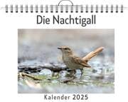 Cover von Die Nachtigall
