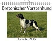 Cover von Bretonischer Vorstehhund