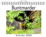 Cover von Buntmarder
