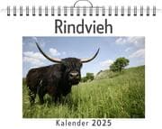 Cover von Rindvieh - (Wandkalender 2025, Kalender DIN A4 quer, Monatskalender im Querformat mit Kalendarium, das perfekte Geschenk)