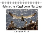 Cover von Heimische Vögel beim Nestbau