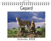 Cover von Gepard