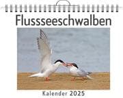 Cover von Flussseeschwalben