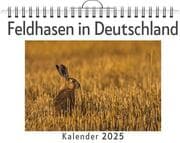 Cover von Feldhasen in Deutschland