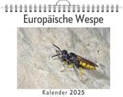 Cover von Europäische Wespe