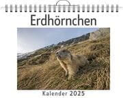 Cover von Erdhörnchen