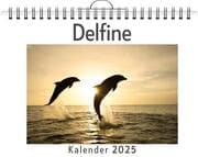 Cover von Delfine
