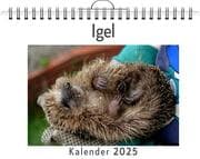 Cover von Igel