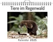 Cover von Tiere im Regenwald