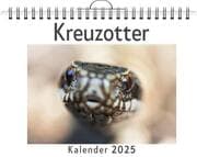 Cover von Kreuzotter