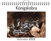 Cover von Königskobra