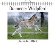 Cover von Dülmener Wildpferd