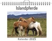 Cover von Islandpferde