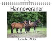 Cover von Hannoveraner