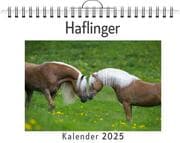 Cover von Haflinger