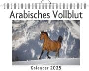 Cover von Arabisches Vollblut