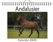 Cover von Andalusier