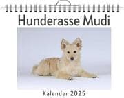 Cover von Hunderasse Mudi