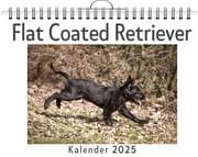 Cover von Flat Coated Retriever
