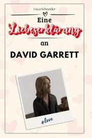 Cover von Eine Liebeserklärung an David Garrett