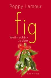 Cover von fig - Weihnachtszauber