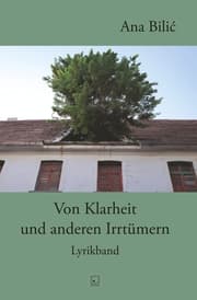 Cover von Von Klarheit und anderen Irrtümern