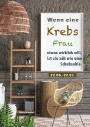 Cover von Wenn eine Krebs Frau etwas wirklich will, ist sie zäh wie eine Schuhsohle