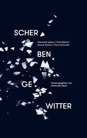 Cover von Scherbengewitter