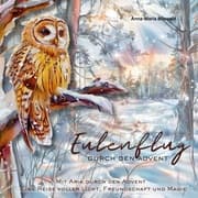 Cover von Eulenflug durch den Advent