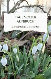 Cover von TAGE VOLLER AUFBRUCH - Jahresanfangsgeschichten