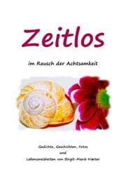Cover von Zeitlos im Rausch der Achtsamkeit