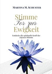 Cover von Stimme - Tor zur Ewigkeit