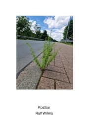 Cover von Kostbar