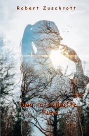 Cover von Der rätselhafte Fund
