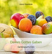 Cover von Deines Gottes Gaben