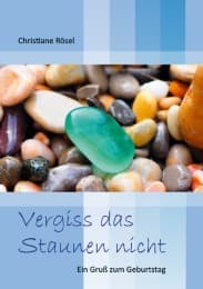 Cover von Vergiss das Staunen nicht