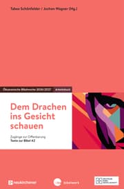 Cover von Dem Drachen ins Gesicht schauen