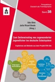 Cover von Zum Seiteneinstieg neu zugewanderter Jugendlicher ins deutsche Schulsystem