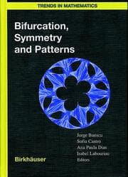 Cover von Bifurcation, Symmetry and Patterns