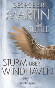 Cover von Sturm über Windhaven